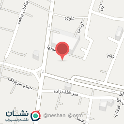 عکس فرش دیبا