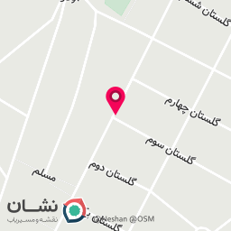 عکس آقای تعمیر
