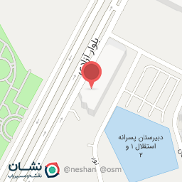 عکس کفش خوشپا