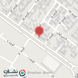 عکس برگر زغالی 