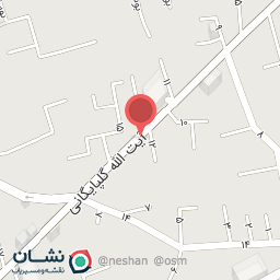 عکس کتف و بال پاچینی تشیعی