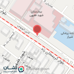 عکس دکتر مژده حسینی