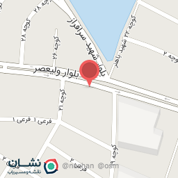 عکس پیتزا و برگر توحید