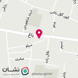 عکس تعمیرات لوازم خانگی عیدی
