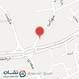 عکس آینه دکوراتیو صیادی