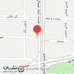 عکس پیتزا روناک