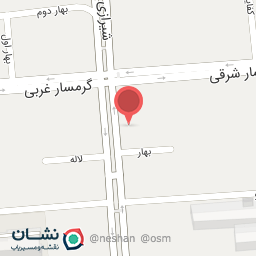 عکس پیتزا چمن