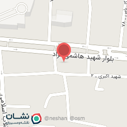 عکس الکتریکی، علینقیان