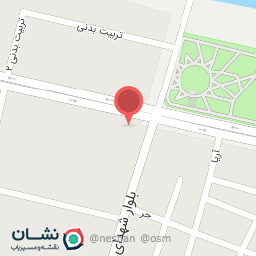 عکس پیتزا کباب ترکی سوخاری اکسیر