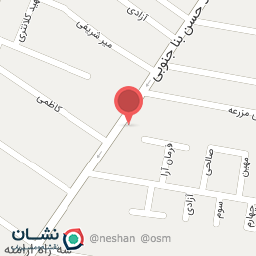عکس سودای پرواز ایرانیان