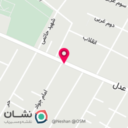عکس کفش گلچین