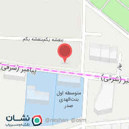 عکس پیتزا تیان