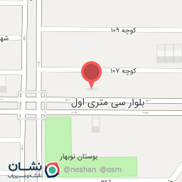 عکس پیتزا استریت