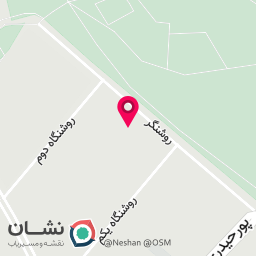 عکس قالیشویی بیگدلی