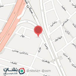 عکس پیتزا مایلا