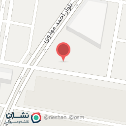 عکس شیما کفش