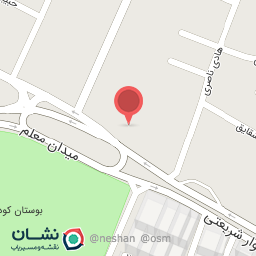 عکس فست فود دوقلوها