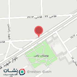 عکس کفش ملی پوشان