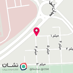 عکس نان سبزیجات محسن