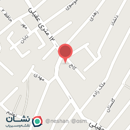 عکس چرم زمانی - حبیبی