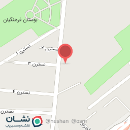 عکس مکانیکی کوروش