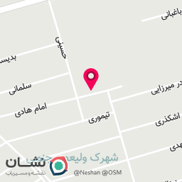 عکس پیتزا ولیعصر
