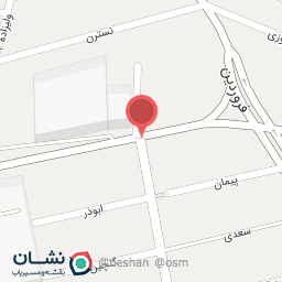 عکس کمک فنرسازی سعید