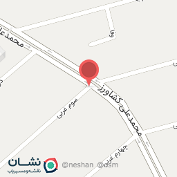 عکس رها چوب