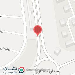 عکس جانبازان 173