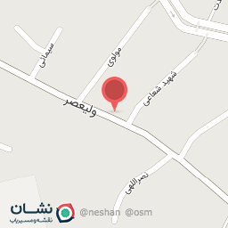 عکس کیف وکفش پروردگاری