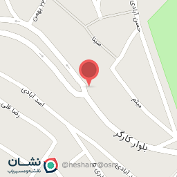 عکس پیتزا نشاط 