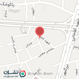 عکس دکتر محدثه نفری