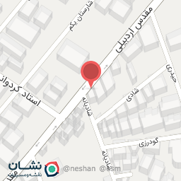 عکس دکتر سهیلا محسنی