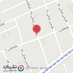 عکس طلاجات سید