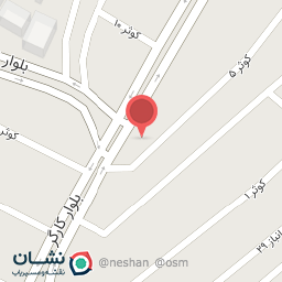 عکس تراشکاری عباسی 