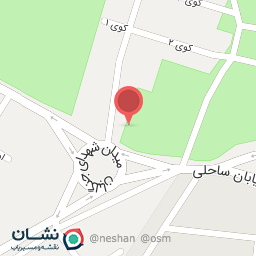 عکس تهیه غذای طلا