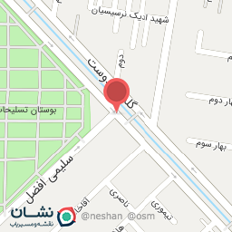 عکس فست فود