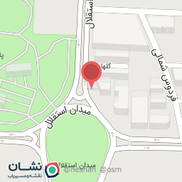 عکس برند برگر 