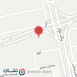 عکس دکتر سروش شجاعی