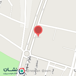 عکس غذای زیتون 