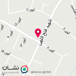عکس پیتزا و ساندویچ 69