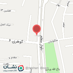 عکس پت شاپ لوکا