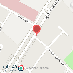 عکس رينگ و لاستيك شاملو