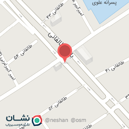 عکس پیتزا آریا