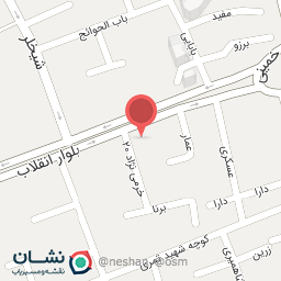 عکس گل فروشی میناتور