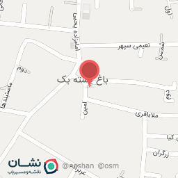 عکس تهیه غذا رستوران