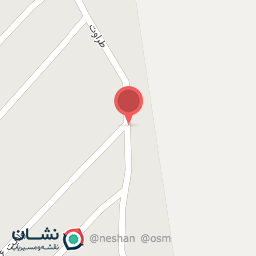 عکس مکانیکی داود