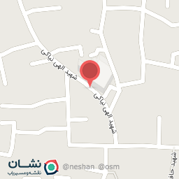 عکس الکتریکی صداقت