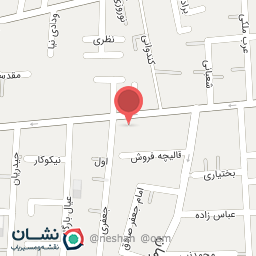 عکس پیتزا چهارفصل