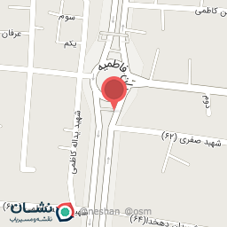 عکس فست فود دورهمی